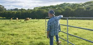 Farmers are boosting their profits and production – with nature’s help