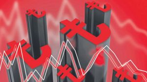 Lirayı koruma hamlesi