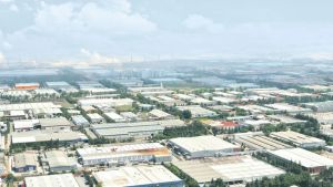 Siz hiç OSB gördünüz mü?