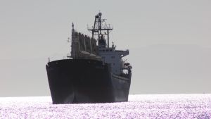 Food Time Bombs And Predicted Starvation: The Prospects Of A Hormuz Transit Deal – OpEd