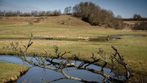 Millioner til advokatfirma: Så mange penge har kommunen brugt på juridisk bistan...