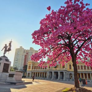 A casa que veio de navio