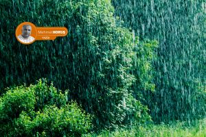 Yağmur hırsızlığı