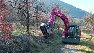 Il sedano e il rafano: ecco la nuova ricetta per contrastare l’erosione del Carso