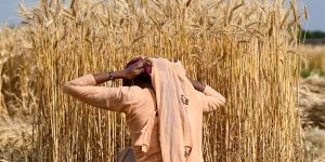 The Mispricing of War