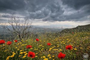 Mala noticia para comenzar el Lunes de Pascua, ¿quién llega? Seguimiento BFA y acumulados