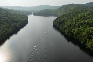 Alerte aires protégées !