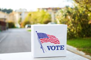 Trump’s Dilemma: Rigging or Cancelling the US Midterm Elections