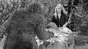 Misterija Bigfuta: Postoji li takvo stvorenje i ko su ljudi koji ga love