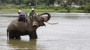 Ver weg huilen, dichtbij zwijgen, zo werkt selectieve verontwaardiging