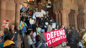 Why can't Gov. Kathy Hochul let go of fossil fuels in NY?Rachel Spector and Sasan Saadat