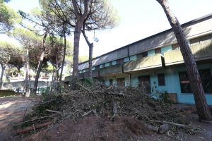 A Lido Spina un ostello per i lavoratori: di cosa si tratta e dove potrebbe sorgere