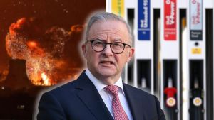 Panahi: Albo must wake up and protect our country’s fuel supply