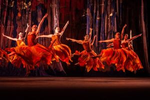 Alas para todos (+Fotos)