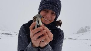 Las aves de montaña, las más sensibles a la desaparición con el cambio climático: un estudio internacional aboga por protegerlas