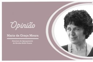 “Reorganizar ciclos de ensino –...”