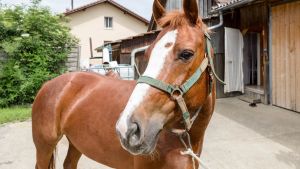 Stillstand trotz Bewegung