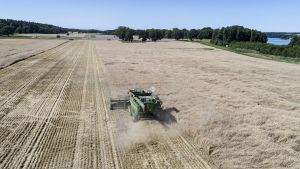 Så löser vi maten om kriget kommer