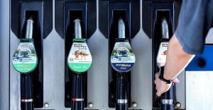 Wirtschaft verstehen: Schweigt der Preis, spricht die Knappheit