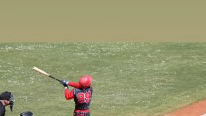 Baseball Pesaro, esordio ok