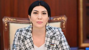 Orta Dəhlizin aparıcı qüvvələri: Azərbaycan və Gürcüstan əməkdaşlığı