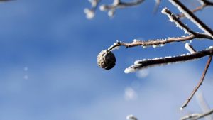 RHMZ: Upozorenje na mraz