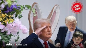 Uçak personeli nerede Bay Trump