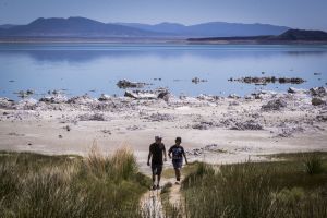 The California lake that revolutionized American environmental law