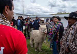 Caos, elecciones y geopolítica en Perú