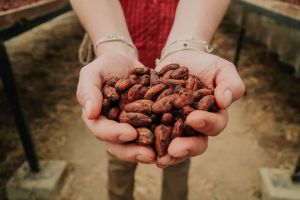 „Berlin ist extrem relevant“: Kakao-Startup wächst auf vier Millionen Umsatz