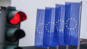 Некого винить