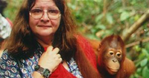 Los ángeles de Leakey