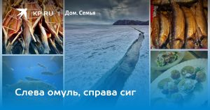 Слева омуль, справа сиг