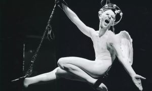 Dokumenti iskanja lepote