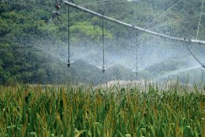 Loi d’urgence agricole : la FNSEA fait sa liste de course, le gouvernement applique