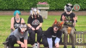 No ver las orejas al lobo