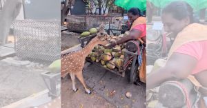 Why IIT Madras Students Will Never Forget This Coconut Vendor & Her Kindness