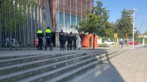 Caos al Dal Negro, senzatetto colpisce gli addetti al park e si stende in strada