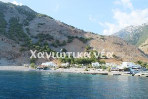 Οπλίτης θητείας ...