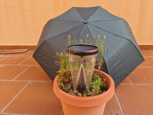 Acumulados de precipitación más destacados en 8 horas en la provincia de Málaga