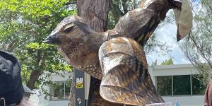 Esencia No Va: Protesting Neocolonial Capitalist Development in Puerto Rico