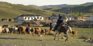 Mutual aid and self‑sufficiency are key to life near USSR’s contaminated nuclear test zone in Kazakhstan