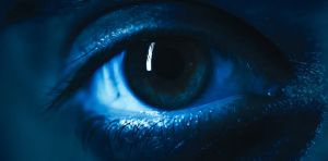 Light in the dark: the search for new treatments for hereditary blindness