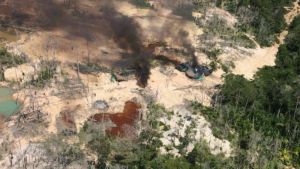 Red de Instituciones Larenses: “Curemos la tierra-conciencia ambiental”