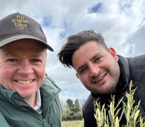 Πιλοτική εισαγωγή της ελαιοκομίας στο Ηνωμένο Βασίλειο: αγρονομική προσέγγιση και προοπτικές επιρροής για τους παραγωγούς πατάτας της Δυτικής Αχαϊας.