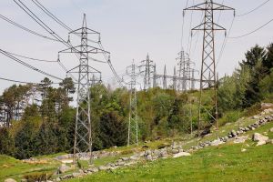 Til jord skal du bli