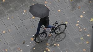 El Ayuntamiento de Avilés, condenado a pagar 1.300 euros a un ciclista que sufrió una caída cuando circulaba por un carril bici con el asfalto 'roto' por las raíces de un árbol