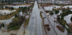 New research shows how forests can prevent floods of all sizes
