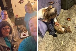 Dog lost for months in the wilderness recognizes her owner in the most tearful reunion