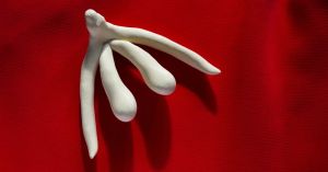 As novas (e surpreendentes) descobertas sobre o clitóris